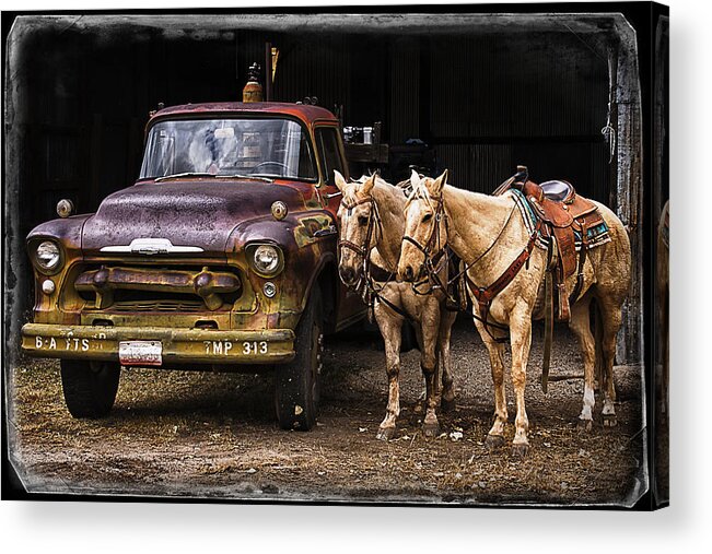 Horses Acrylic Print featuring the photograph Ranch Transportation by Priscilla Burgers