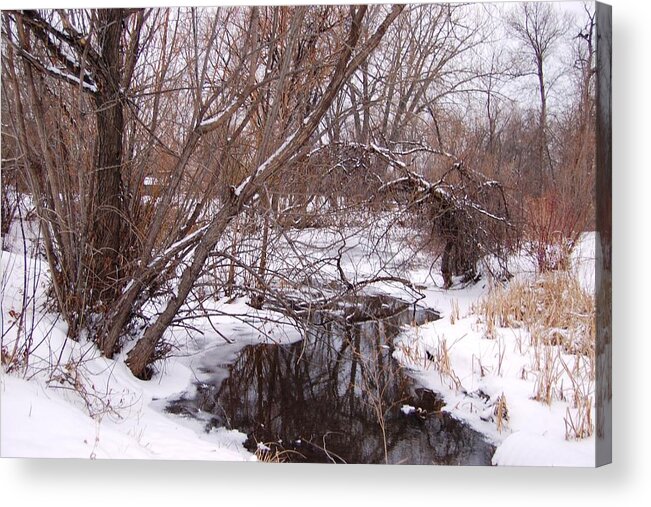 Dakota Acrylic Print featuring the photograph Rapid Creek in Snow by Greni Graph