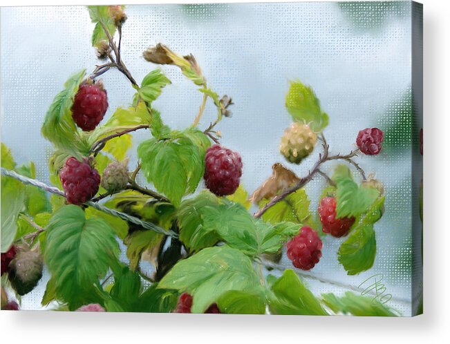 Agriculture Acrylic Print featuring the digital art Raspberries on a fence by Debra Baldwin