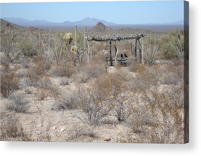 Ramada Acrylic Print featuring the photograph Ravens at the Ramada by Susan Woodward