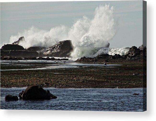 Beach Acrylic Print featuring the photograph Reaching for the Sky by Dave Files