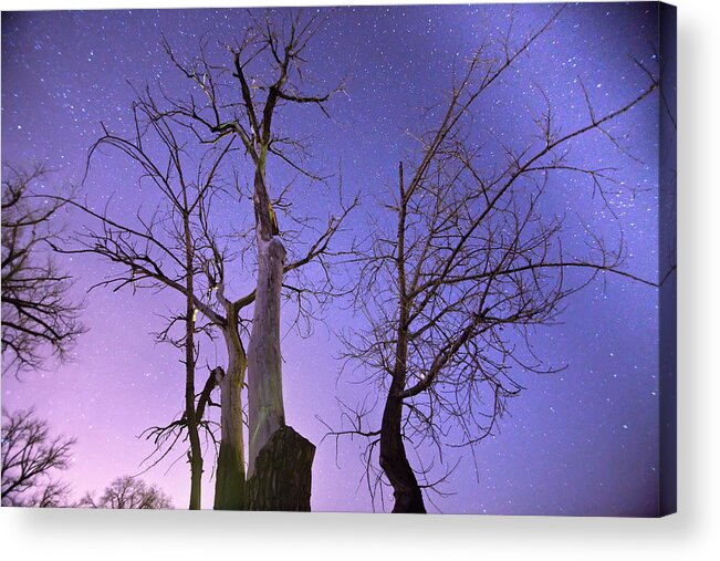 Stars Acrylic Print featuring the photograph Reaching To The Stars by James BO Insogna