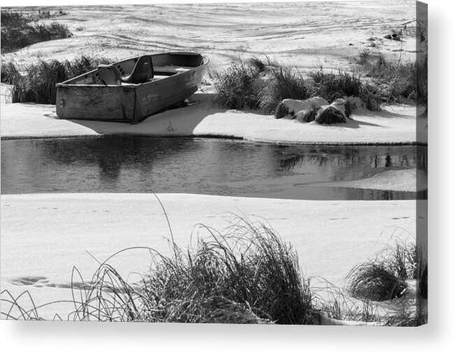 Winter Acrylic Print featuring the photograph Ready for Spring by Penny Meyers