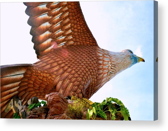 Eagle Acrylic Print featuring the photograph Ready to fly. by Siti Syuhada