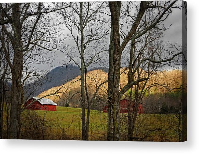 Ivy Creek Family Farm Acrylic Print featuring the photograph Red and White by Ben Shields