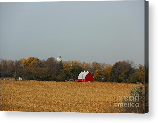 Barns Acrylic Print featuring the photograph Red Barn in Fall by Yumi Johnson