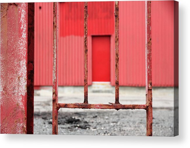  Acrylic Print featuring the photograph Red Door by Kreddible Trout