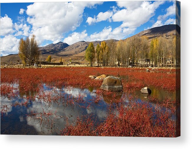 Autumn Acrylic Print featuring the photograph Red Grass Beach by Jason KS Leung