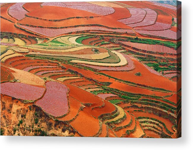 Acrylic Print featuring the photograph Red Land 01 by Jason KS Leung