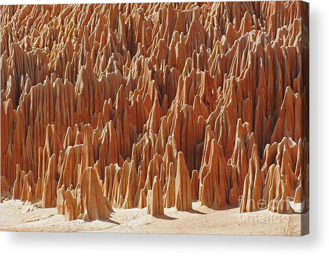 Prott Acrylic Print featuring the photograph red Tsingy Madagascar 1 by Rudi Prott