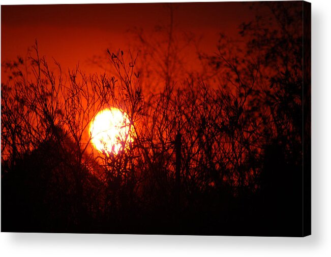 Landscape Acrylic Print featuring the photograph RedOrange Sunset by Matt Quest