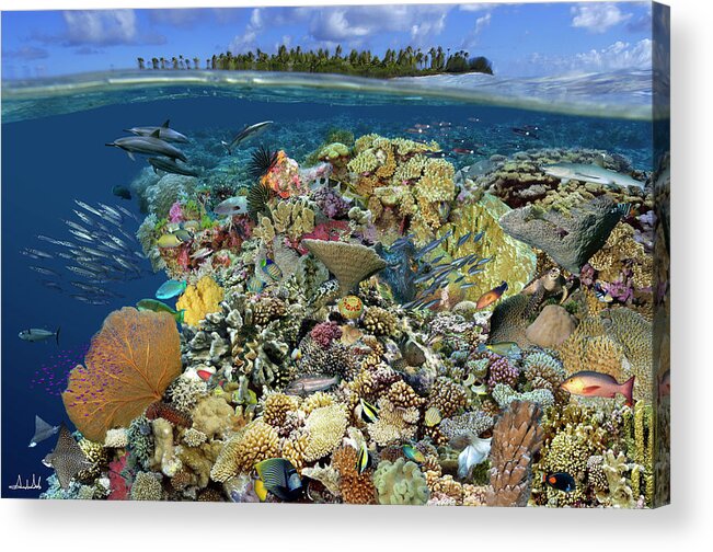 Marine Life Acrylic Print featuring the digital art Reef Magic by Artesub