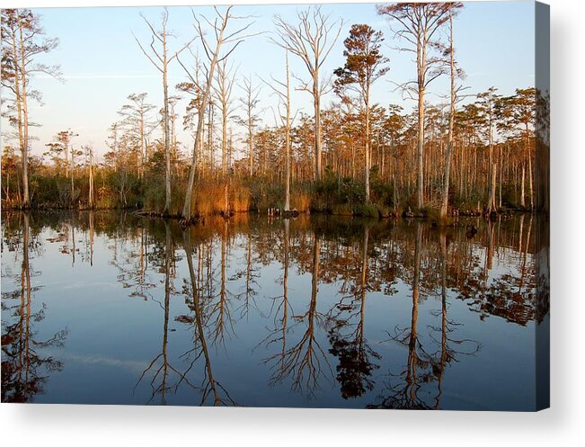 Landscape Acrylic Print featuring the photograph Reflection by Christopher James