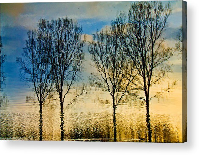 Landscape Acrylic Print featuring the photograph Reflections by Adriana Zoon