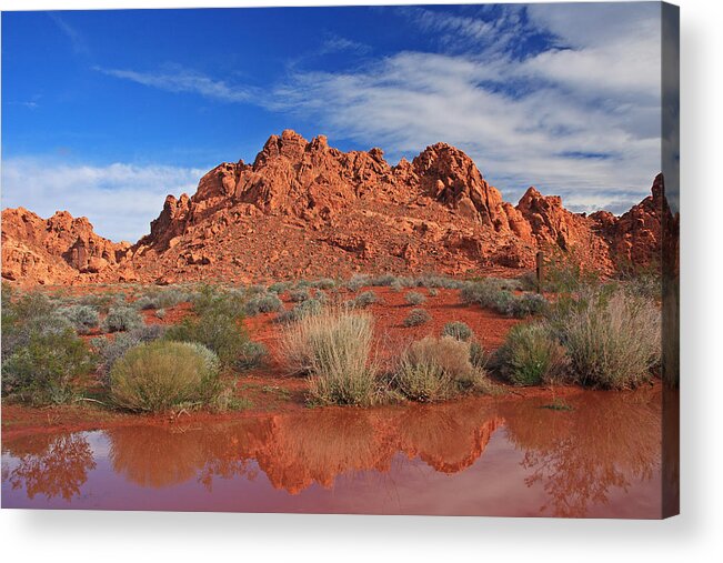 Water Acrylic Print featuring the photograph Reflections At The Valley of Fire by Steve Wolfe