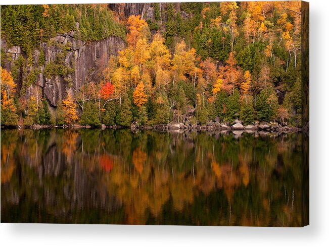 Reflections Acrylic Print featuring the photograph Reflections in the Pond by Nancy De Flon