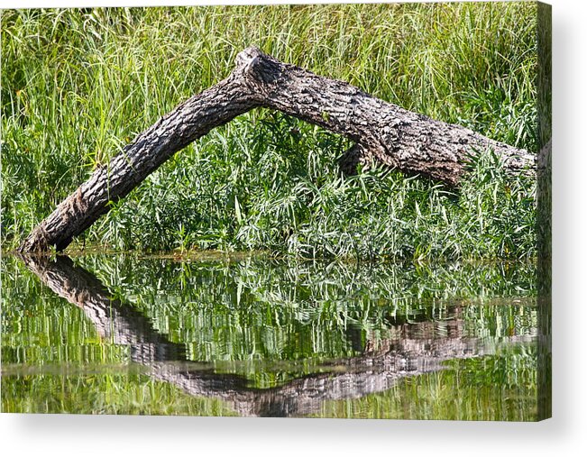 Water Acrylic Print featuring the photograph Reflections by John Rohloff