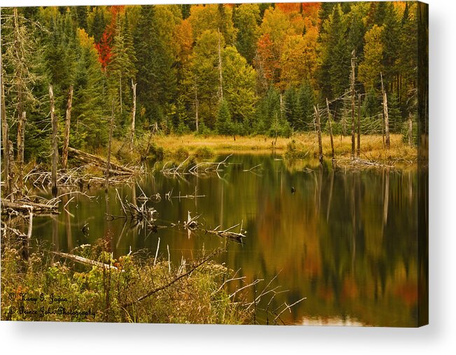 Water Acrylic Print featuring the photograph Reflections Of The Fall by Hany J