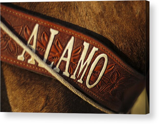 Western Acrylic Print featuring the photograph Remember the Alamo by Amber Kresge