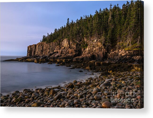 Ottercliffs Acrylic Print featuring the photograph Reminisce by Tamara Becker