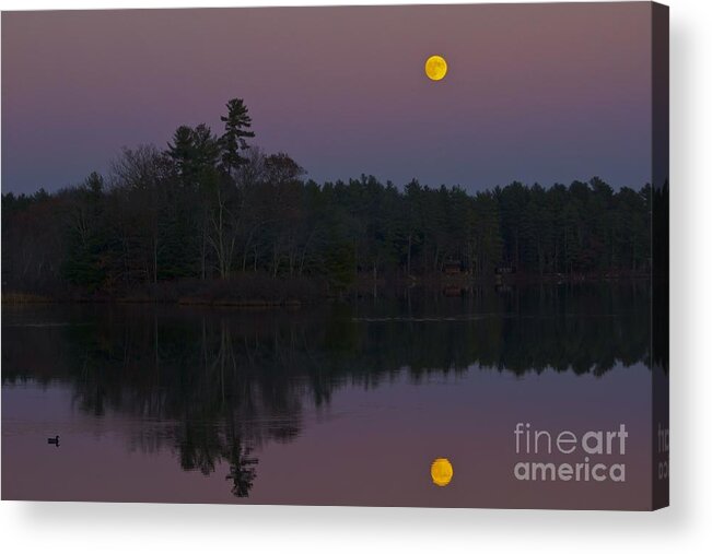 Full Moon Acrylic Print featuring the photograph Replacing the Sunset II by Alice Mainville