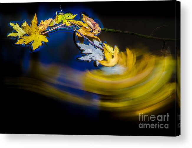 Defiance Acrylic Print featuring the photograph Resting Place by Michael Arend