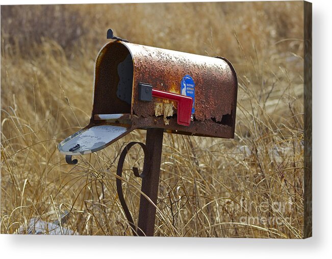 Mailbox Acrylic Print featuring the photograph Return to Sender by Alice Mainville