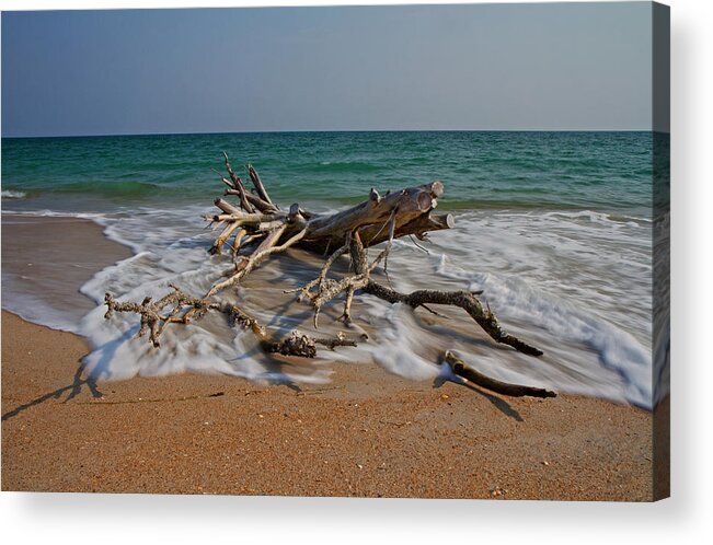 Driftwood Acrylic Print featuring the photograph Returning by Betsy Knapp