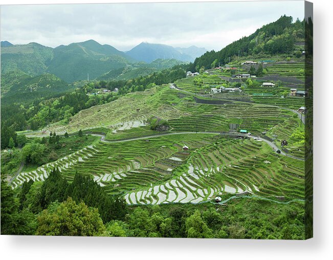 Tokai Region Acrylic Print featuring the photograph Rice Paddy Terraces On Green Mountain by Ippei Naoi