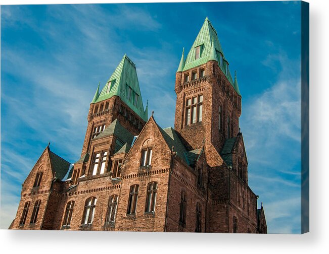 Buffalo Acrylic Print featuring the photograph Richardson Complex 3D21972 by Guy Whiteley