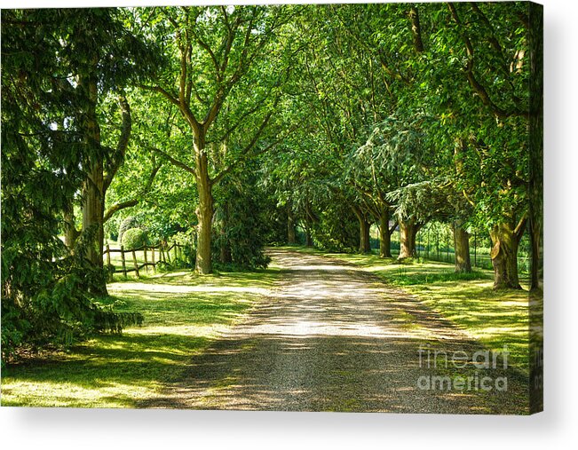 Trees Acrylic Print featuring the digital art Rickety Fence by Andrew Middleton