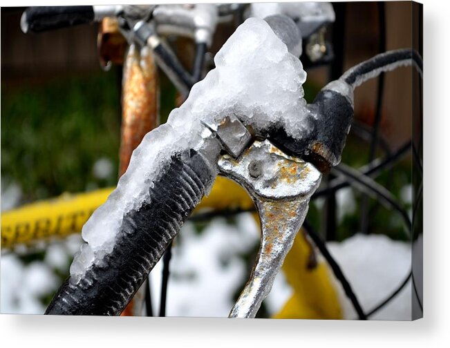 Ice Acrylic Print featuring the photograph Ride on the Rocks by Laureen Murtha Menzl