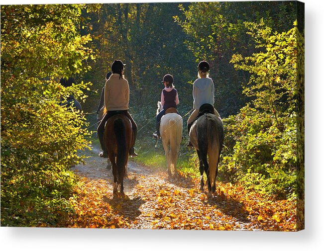 Horses Acrylic Print featuring the photograph Riders with horses in the forest by Matthias Hauser