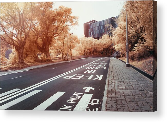 Pole Acrylic Print featuring the photograph Road And Road Sign by D3sign