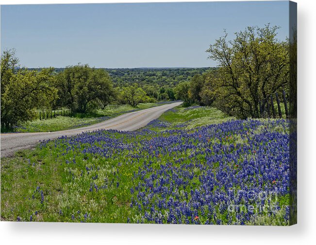 Landscape Acrylic Print featuring the photograph Road to Castell by Cathy Alba
