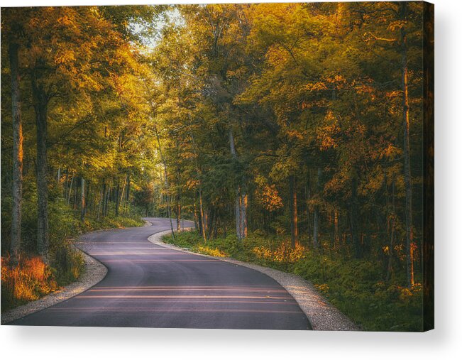 Blacktop Acrylic Print featuring the photograph Road to Cave Point by Scott Norris