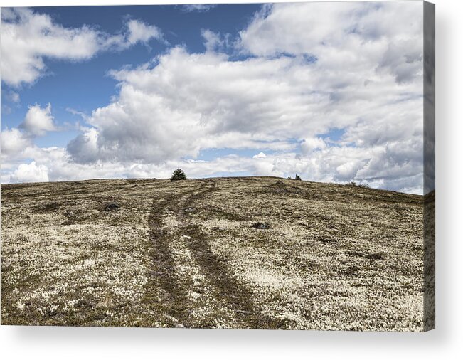 Canada Acrylic Print featuring the photograph Road to Nowhere by Michele Cornelius