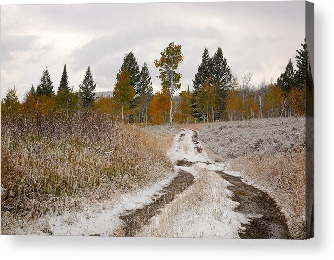 Road Acrylic Print featuring the photograph Road to Winter by Todd Roach