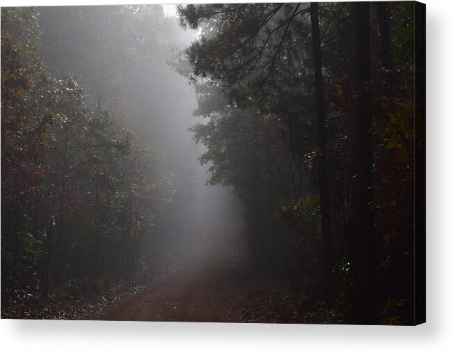 Autumn Acrylic Print featuring the photograph Roads 23 by Lawrence Hess