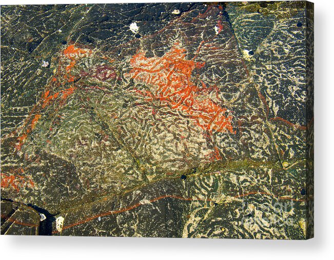 Rock Art Acrylic Print featuring the photograph Rock Pool Art L by Peter Kneen