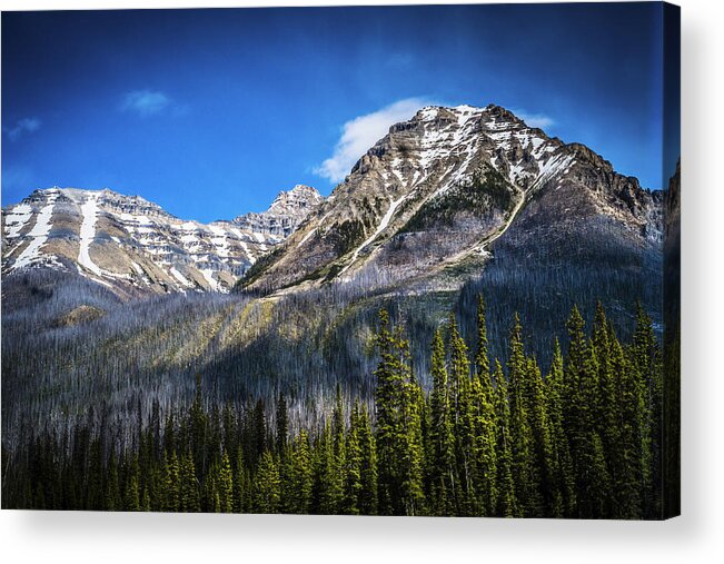 rocky Mountains Acrylic Print featuring the photograph Rocky Mountains Kootenay National Park by Rob Tullis