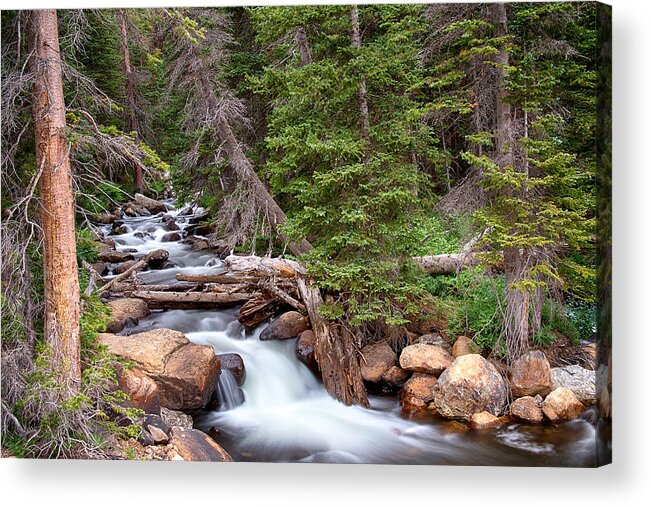 Mountain Stream Acrylic Print featuring the photograph Rocky Mountains Stream Scenic Landscape by James BO Insogna
