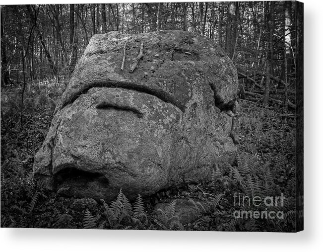 Westbrook Acrylic Print featuring the photograph Rocky the Boulder Westbrook Connecticut by Edward Fielding