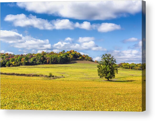 Autumn Acrylic Print featuring the photograph Rolling Fields Of Color by Bill and Linda Tiepelman