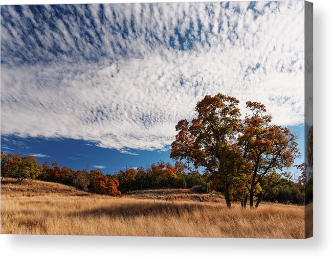 Central Acrylic Print featuring the photograph Rolling Hills of the Texas Hill Country in the Fall - Fredericksburg Texas by Silvio Ligutti