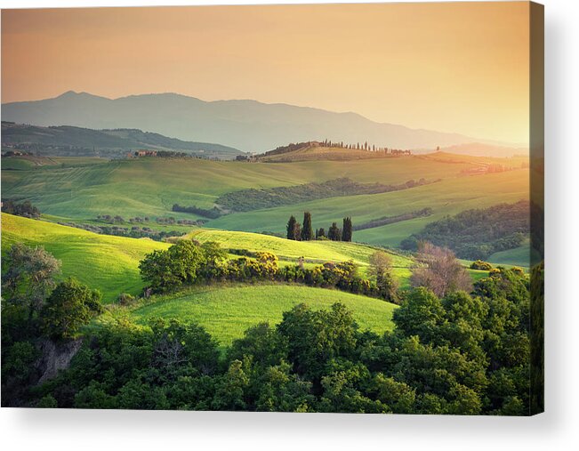 Scenics Acrylic Print featuring the photograph Rolling Tuscany Landscape by Borchee