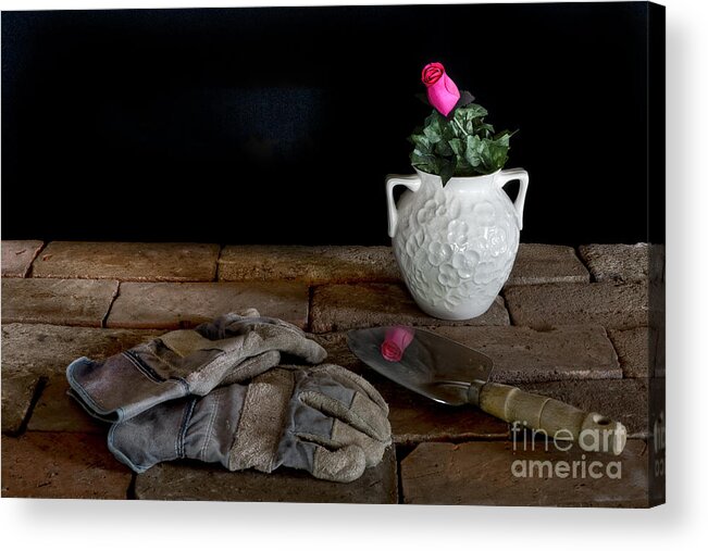 Gardening Acrylic Print featuring the photograph Rose Reflection by Gene Bleile Photography 