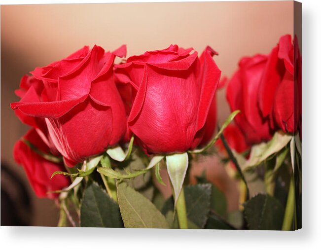 Red Roses Acrylic Print featuring the photograph Roses Roses Roses by Penny Hunt