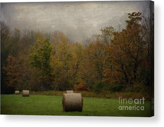 Bale Acrylic Print featuring the photograph Round Bales by Debra Fedchin