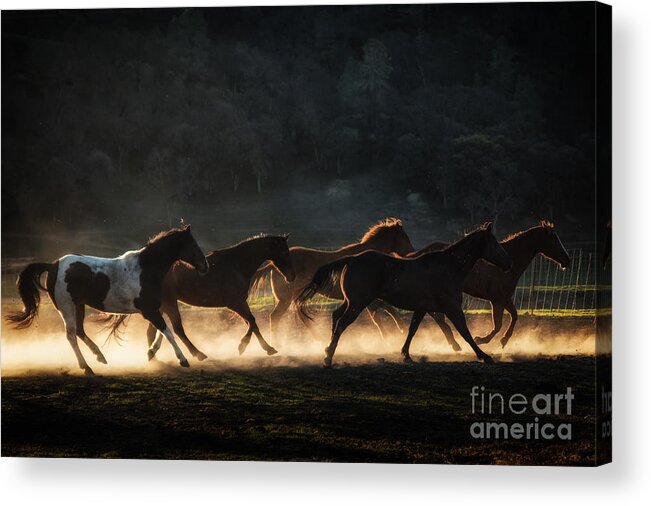 Run Acrylic Print featuring the photograph Running by Ana V Ramirez